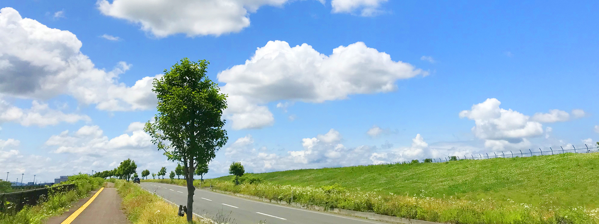 有限会社宮野目タクシー・宮野目観光バス
